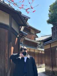 茶香、石板路與時間靜止的午後