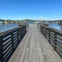 Floating Dreams: The Timeless Allure of Sausalito’s Bohemian Houseboats