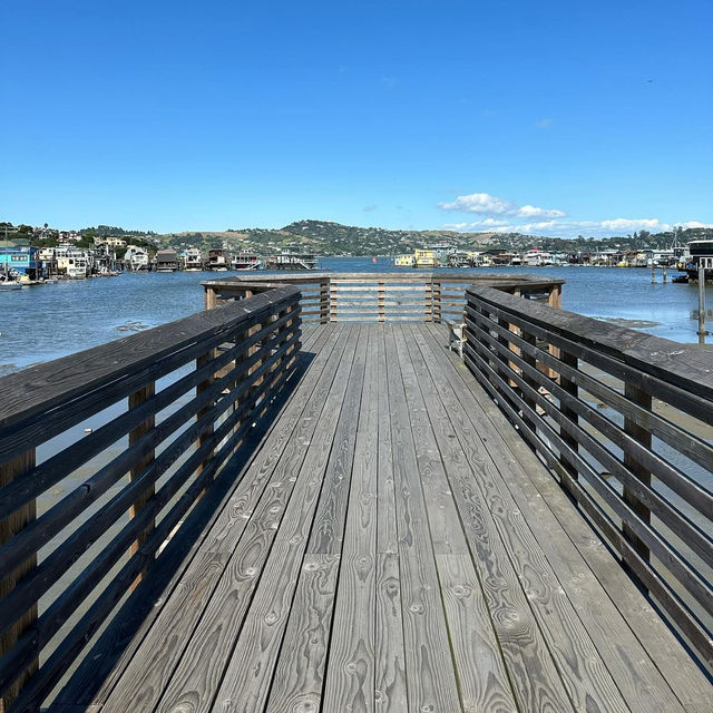 Floating Dreams: The Timeless Allure of Sausalito’s Bohemian Houseboats