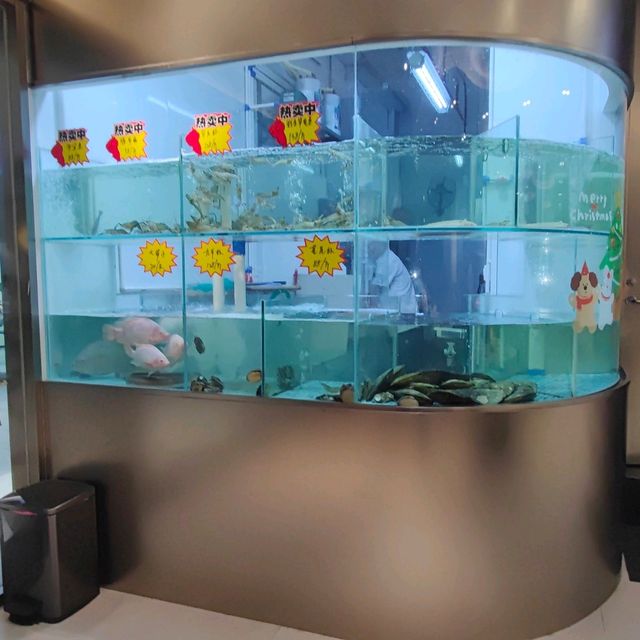 芳華軒新味客家菜深圳沙灣樟樹布店