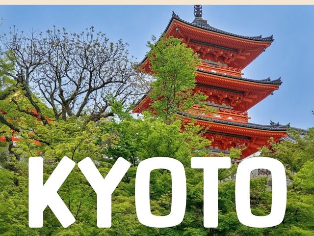 ญี่ปุ่น 10 วัน เที่ยวเอง คุมงบเป๊ะทุกเยน