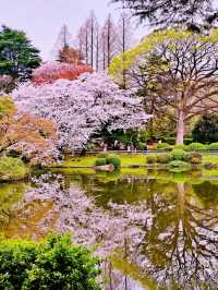 River in Tokyo