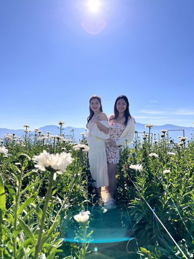 🌸 Northern Blossom: Benguet’s Blooming Paradise 🌄