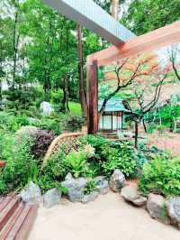  香港｜深度遊｜大埔海濱公園