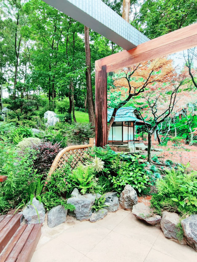  香港｜深度遊｜大埔海濱公園