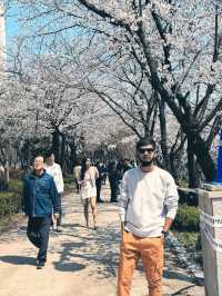 Seongnam: A Harmonious Blend of Tradition and Modernity