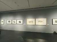 The Sichuan Art Museum