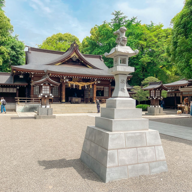 일본 구마모토 필수 여행지 스이젠지 조주엔 🇯🇵🍃
