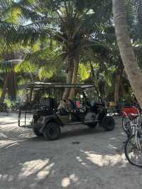 🚲 🌊 La Digue Scenic Bike Road Trip