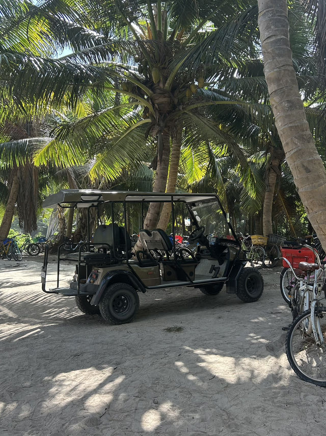 🚲 🌊 La Digue Scenic Bike Road Trip