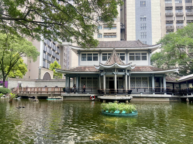 德華公園深度遊🌟 鬧市中的後花園🌷⛲️