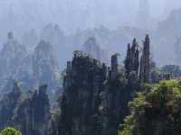 Zhangjiejie’s Avatar Peak: Where Dreams Touch the Sky!