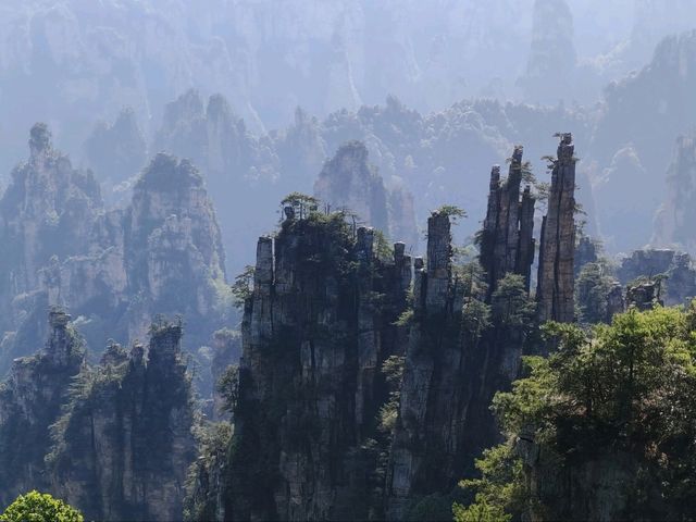 Zhangjiejie’s Avatar Peak: Where Dreams Touch the Sky!