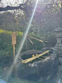 Hasedera Temple ✨ วัดเก่าแก่ในเมือง Kamakura