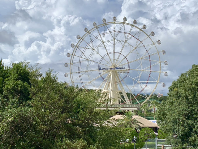 日本白濱Adventure world