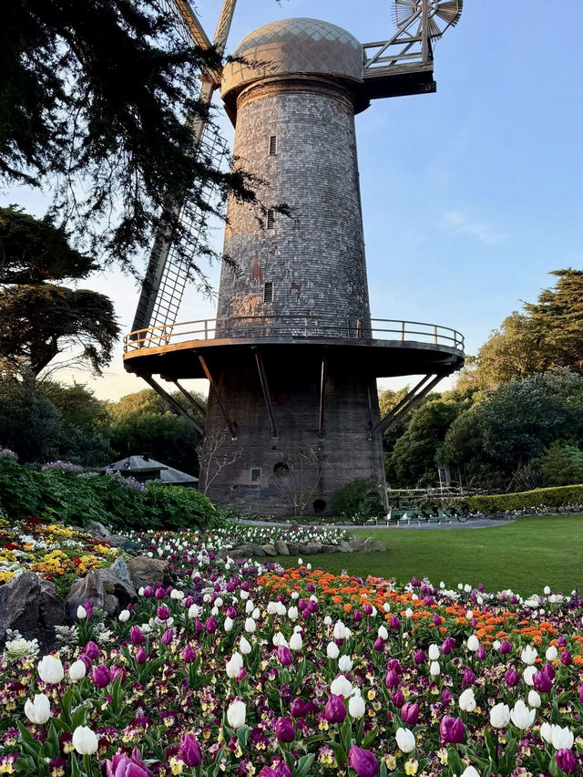 San Francisco Botanical Garden