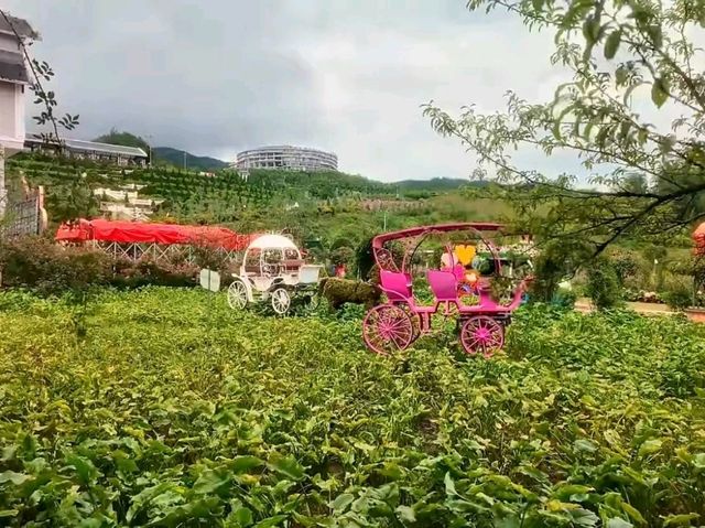ฟานซีปัน วิวสวรรค์บนหลังคาเวียดนาม