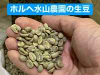 【必見】コーヒー豆の加工場に潜入❣️