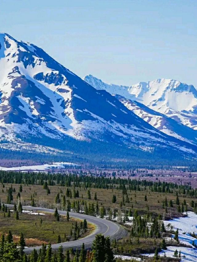 Into the Wild: Hiking Denali’s Untamed Trails"l