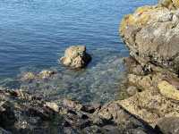 Picnic & Trail Views at Limekiln