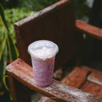 คาเฟ่ภาคใต้ฟีล ภาคเหนือ