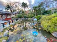 Boiling Beauty and Steamy Surprises: Exploring the Hells of Beppu