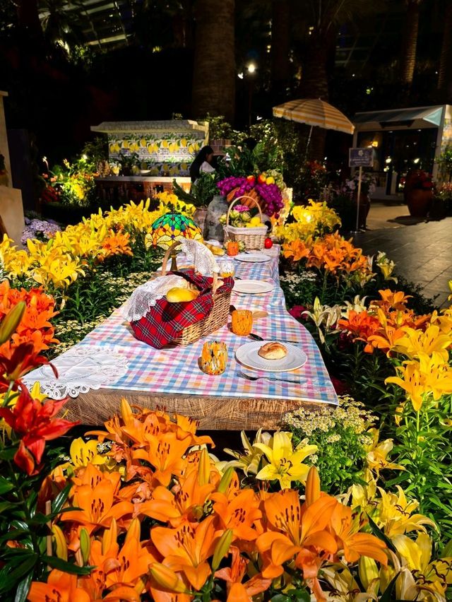Lilytopia : The Italian Summer Vibes 