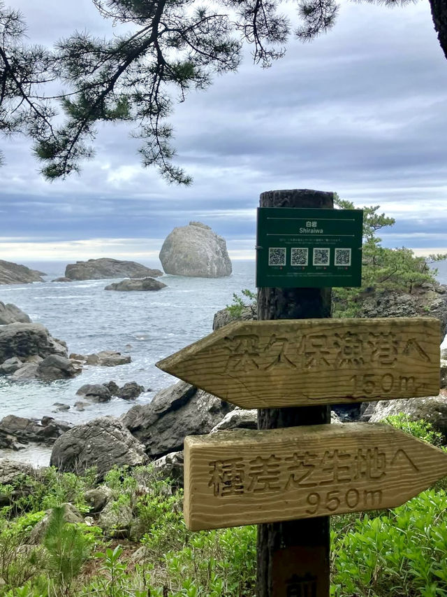 An Active Day Out in Hachinohe – Nature, Trails & Local Flavors