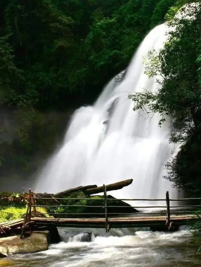 Sticky waterfalls, night markets, and cu