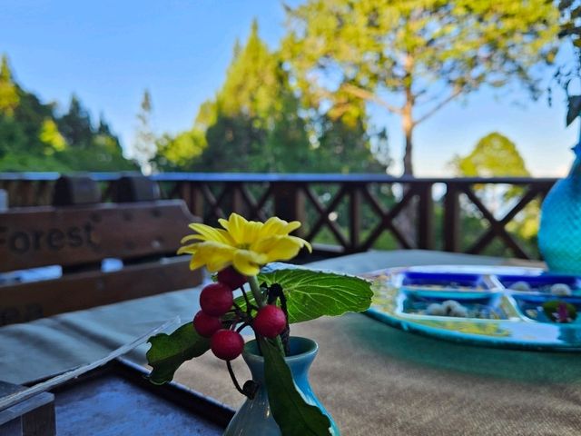 行！走入超完美芬多精仙境～阿里山森林公園