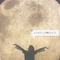 【ソウル郊外】水原で地方旅しよう✨