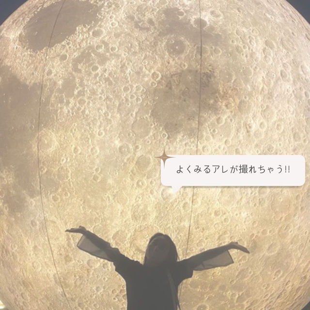 【ソウル郊外】水原で地方旅しよう✨