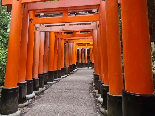 3-Day Itinerary in Kyoto (with a visit to Nara)