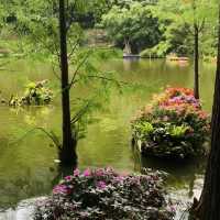 仙湖植物園端午行：尋古寺鐘聲·探萬株綠意
