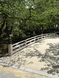 【石川県・金沢市】大庭園！兼六園🌲