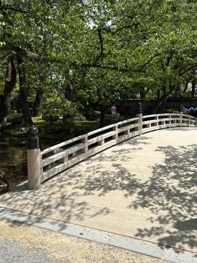 【石川県・金沢市】大庭園！兼六園🌲