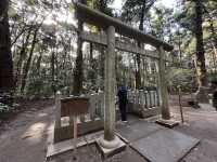 【神木與靈泉的庇佑】走進鹿島神宮—一場靜心與祝福的神域旅程