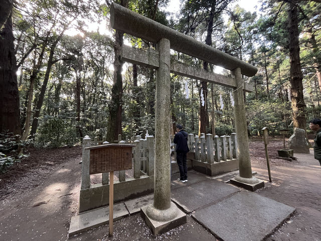 【神木與靈泉的庇佑】走進鹿島神宮—一場靜心與祝福的神域旅程