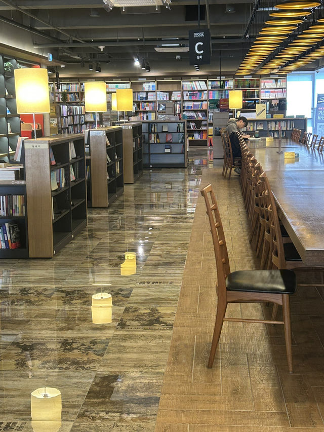 📚 서점 속 아늑한 쉼터, 골드토드 (휘게문고점)