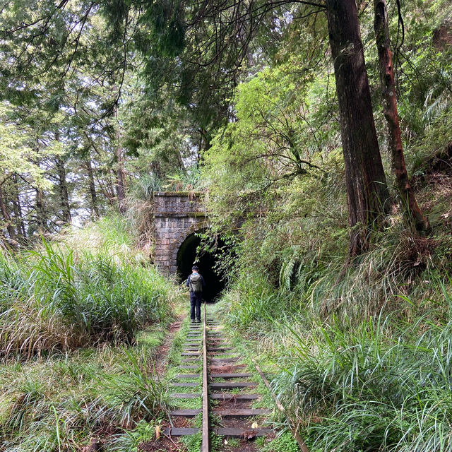 🚶‍♂️阿里山眠月線健行｜沼平車站 ⇄ 石猴車站