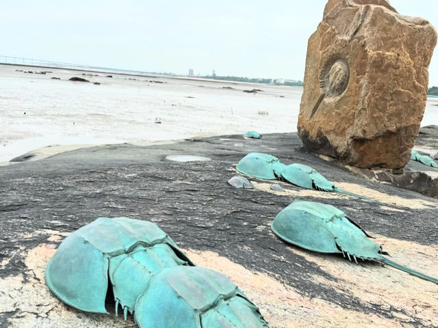 金門｜金城鎮｜建功嶼