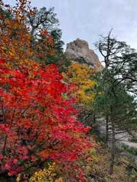 Ulsanbawi Rock – The Crown Jewel of Seoraksan