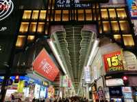 48 Hours in Osaka: Castles, Kimonos & City Lights! 
