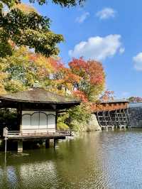 A Day Around Wakayama Castle 🏯📚