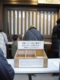 【明治神宮】都会の真ん中で、心が洗われる森へ🌿⛩️