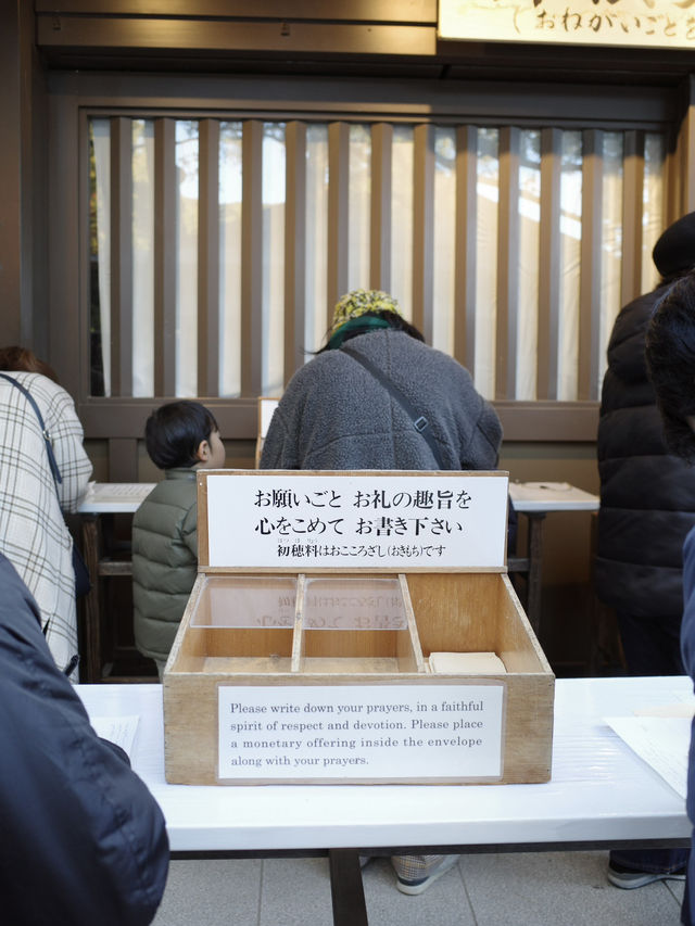 【明治神宮】都会の真ん中で、心が洗われる森へ🌿⛩️