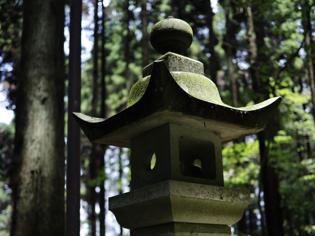 瑩火之森取景地—上色見熊野座神社