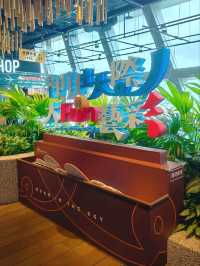 探索桃園國際機場第二航廈：不僅是轉運站，更是旅途中的亮點！