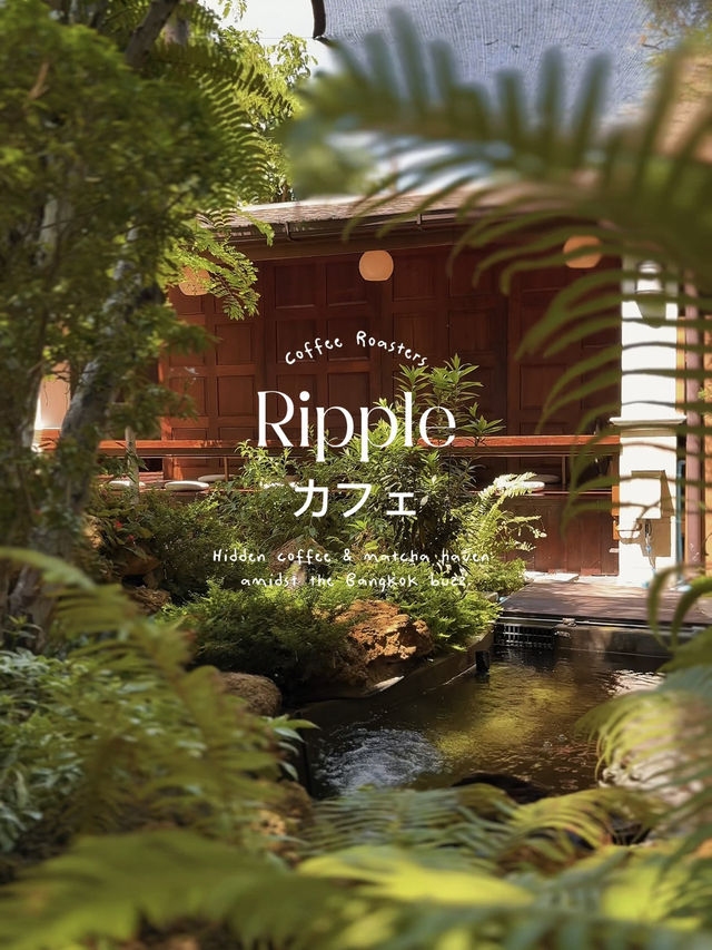 Ripple Coffee Roasters 🍃🍵🪑🌳🤎