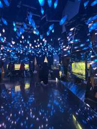 【兵庫】神秘的でアートな水族館